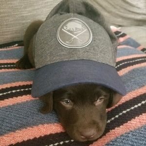 Meet your Posher, Peter